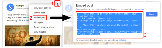 google plus embedded posts