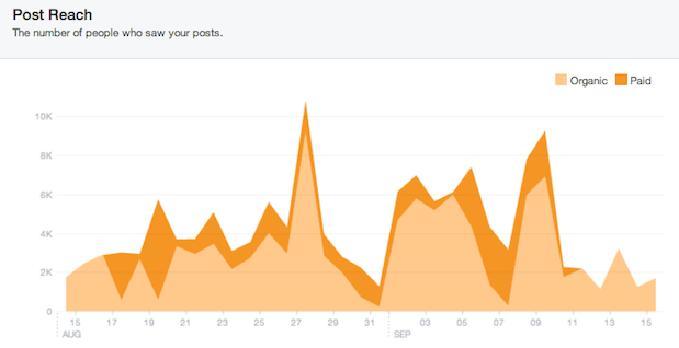 facebook new page insights