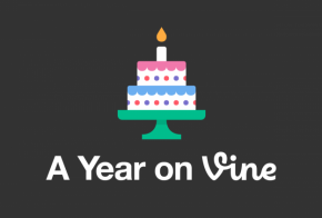 a year on vine