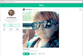 vine web profiles