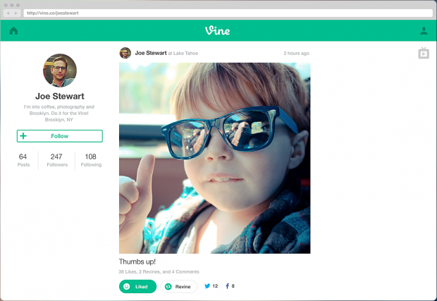 vine web profiles