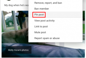 google plus communities pin post