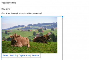 google plus auto backup photos for gmail