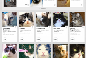 linkedin cats you may know april fools day