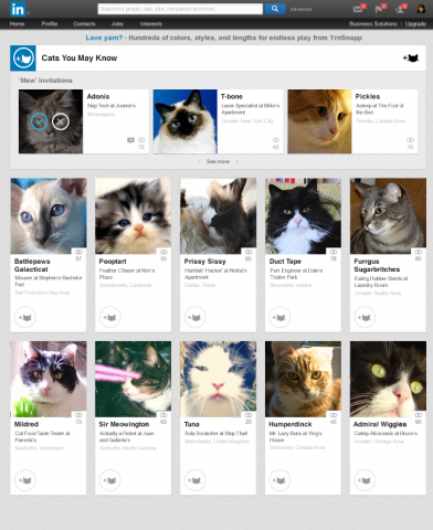 linkedin cats you may know april fools day