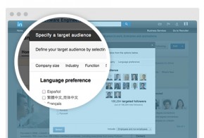 linkedin language preference targeting