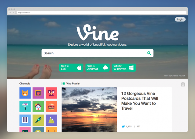 vine new website