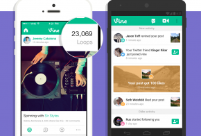 Vine loops