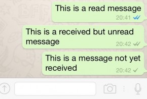 WhatsApp message has been read