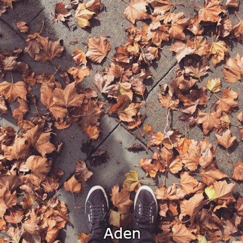 Instagram Aden photo filter