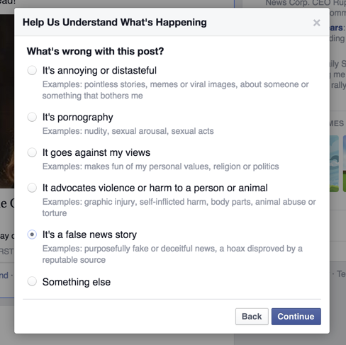 facebook news feed report hoax