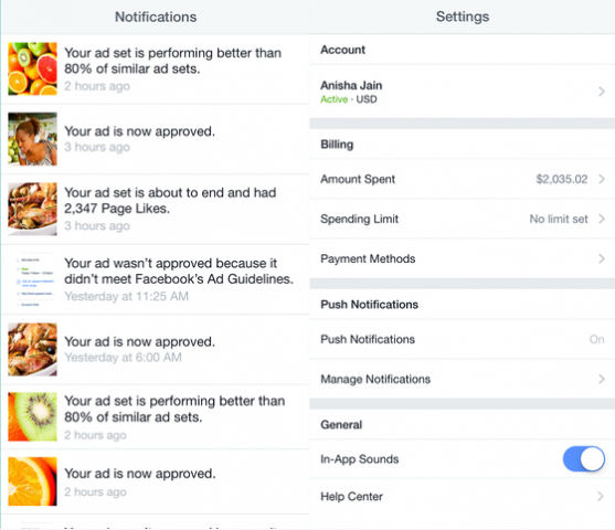 Facebook Ads Manager for iOS