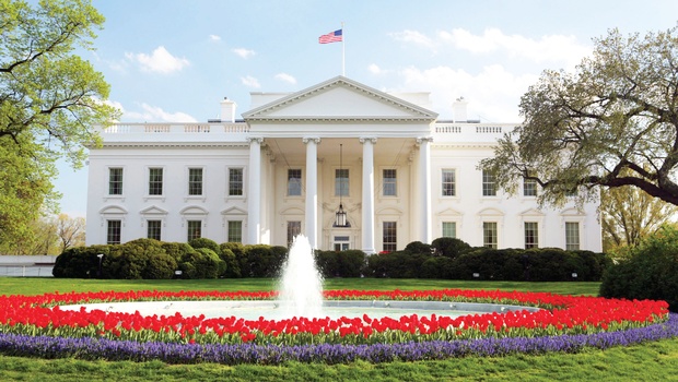 white house