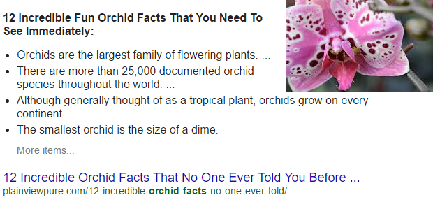 google-fun-facts-2