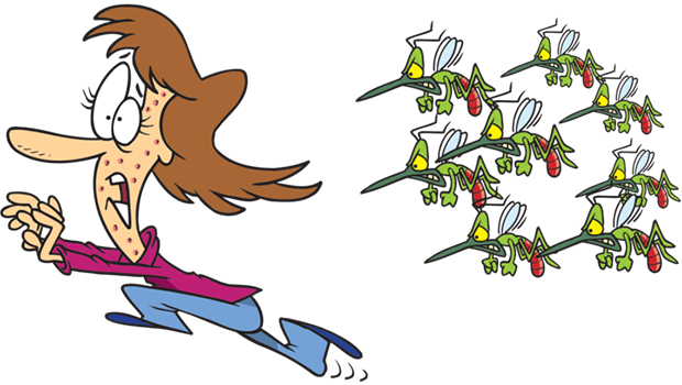 google-mosquitoes